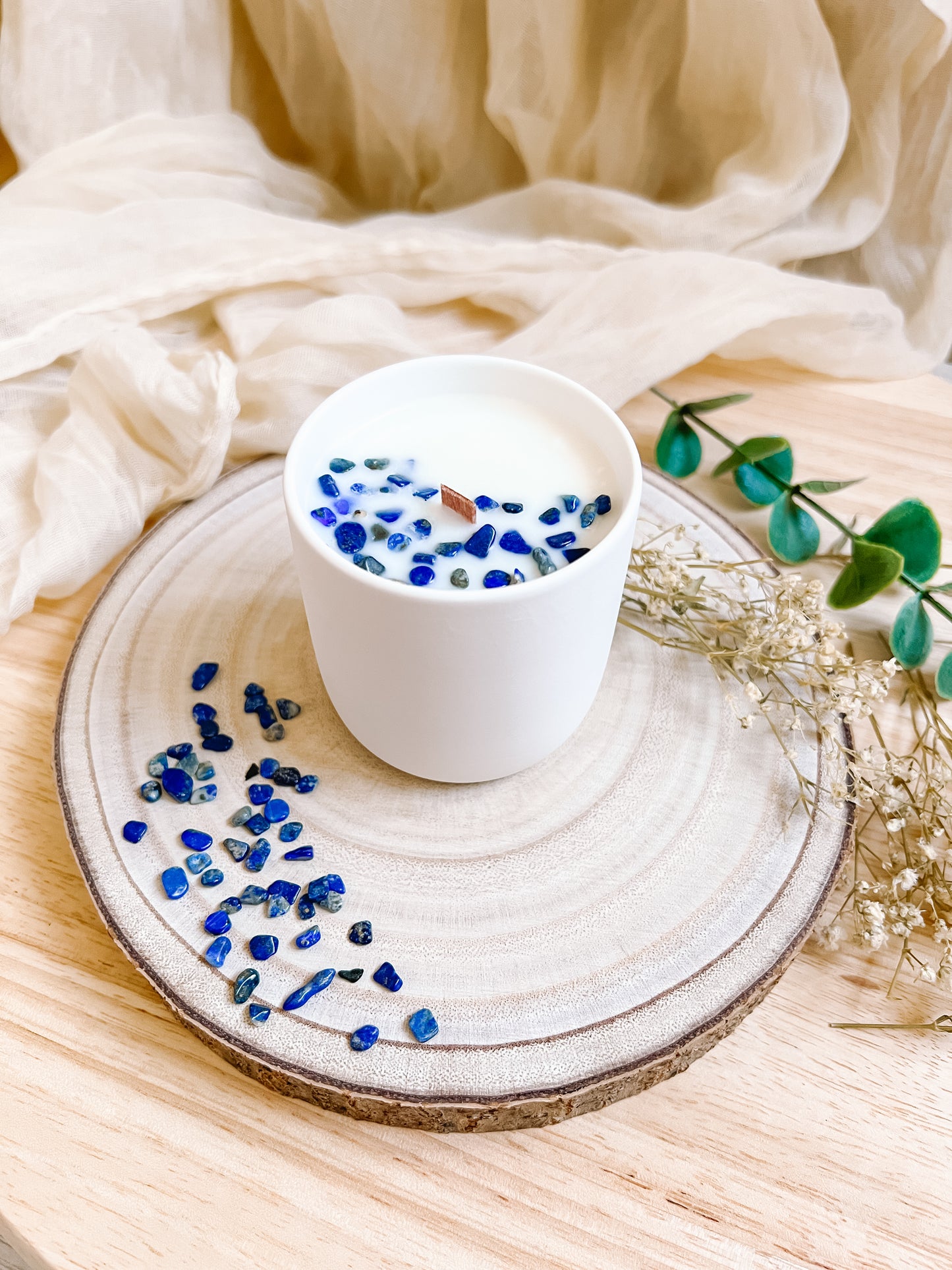 Focus | Concentration