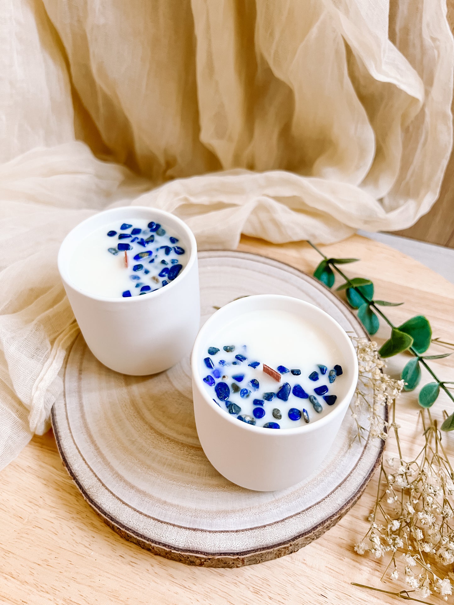 Focus | Concentration