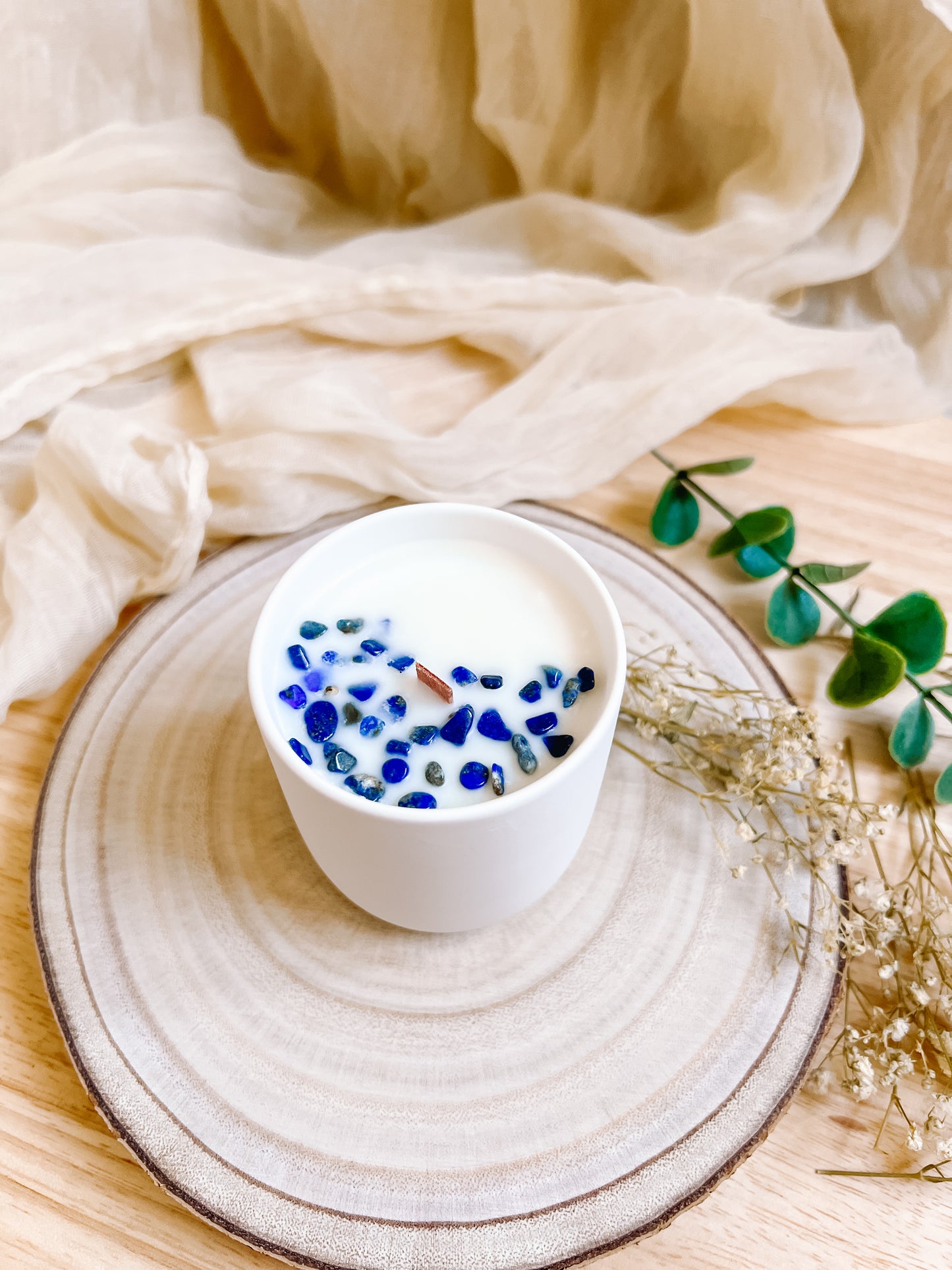 Focus | Concentration