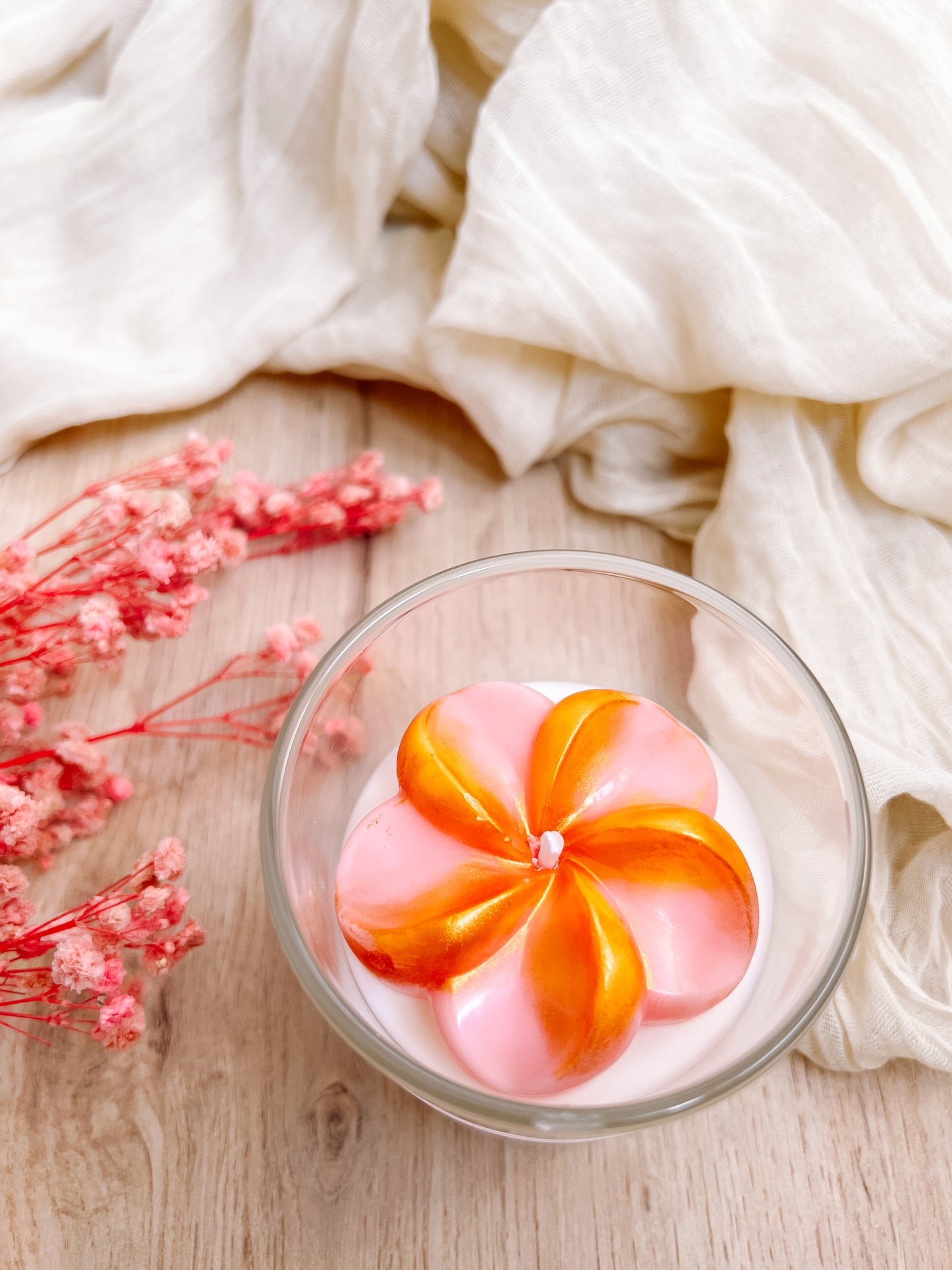 Golden Bloom | Frangipani