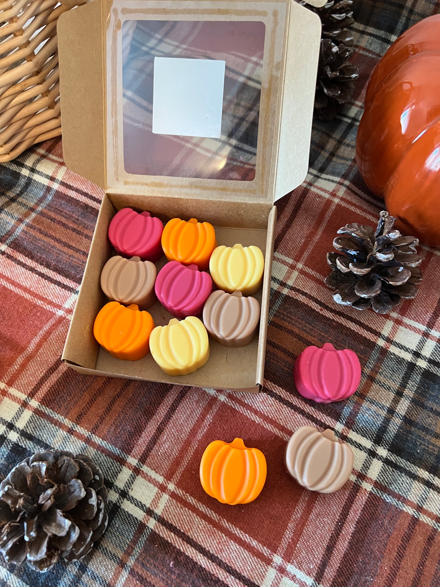 Wachsmelts ✧ Autumn Festival