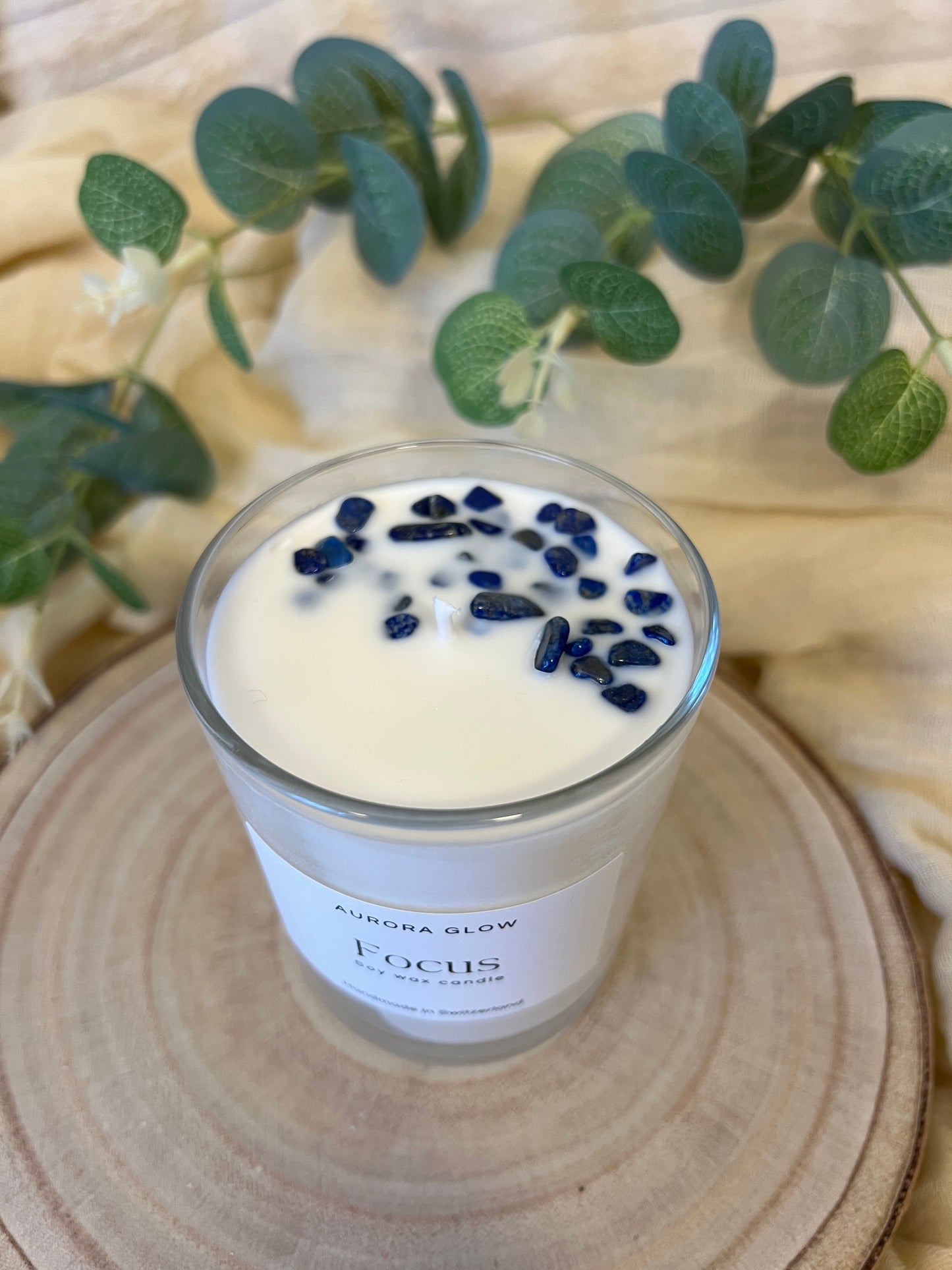 Focus | Concentration