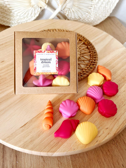 Wax melts ✧ Tropical Dream